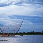 শ্রীমঙ্গলের হাইল হাওর – প্রকৃতির এক অপার বিস্ময়