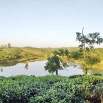 ভাড়াউড়া লেক – শ্রীমঙ্গল